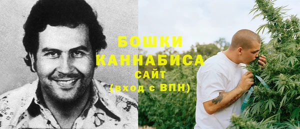spice Арсеньев