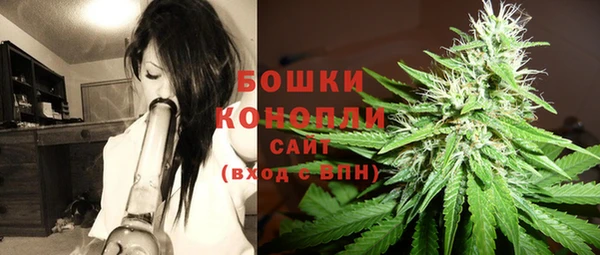 spice Арсеньев